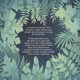 Vidas secretas – Gemma Capdevila