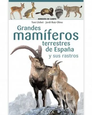 Grandes mamíferos de España que hay que conocer. Miniguía de campo
