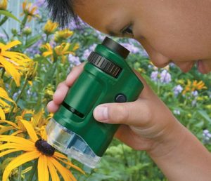 Un niño mirando los detalle de una flor mediante un microscopio de campo y de bolsillo