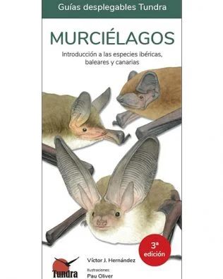 Guías desplegables Tundra nº07 – Murciélagos