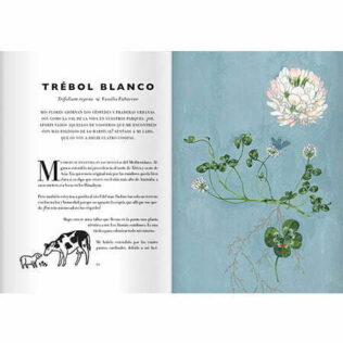 Una flor en el asfalto – La vida de las hierbas urbanas contada por ellas mismas