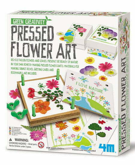 caja del juego de la marca de hongkong 4m para hacer arte con flores prensadas