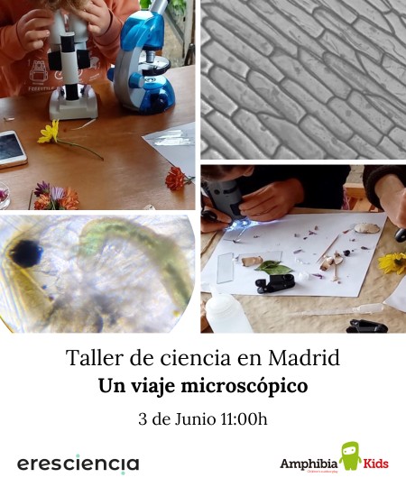 taller de ciencia y microscopios con maite perez