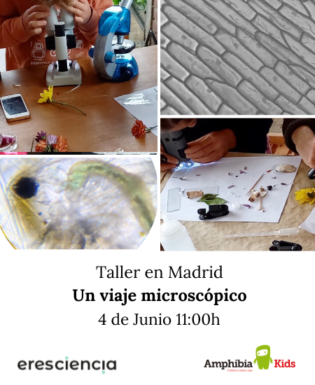 Taller en Madrid Un mundo microscópico eres ciencia amphibia kids