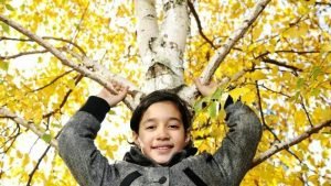 niño trepando un arbol en un parque