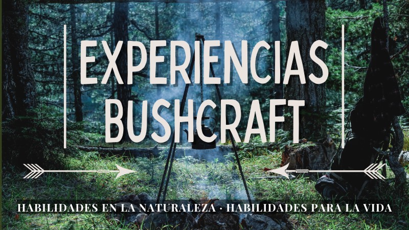 habilidades bushcraft