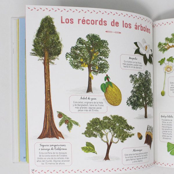 el libro de los arboles nathalie tordjman