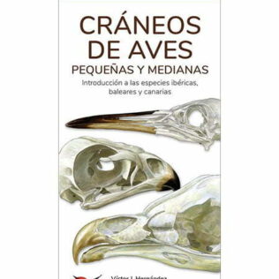 Guías desplegables Tundra nº29 – Cráneos de aves