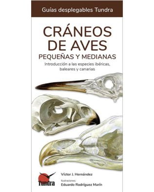 Guías desplegables Tundra nº29 – Cráneos de aves