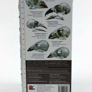 Guías desplegables Tundra nº29 – Cráneos de aves