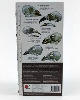 Guías desplegables Tundra nº29 – Cráneos de aves