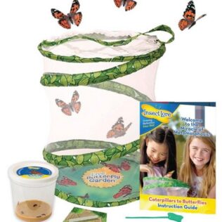 Mariposario doméstico – Buki