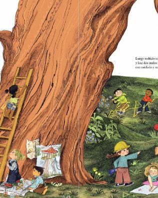 Cómo hacer una casa en un árbol – Carter Higgins