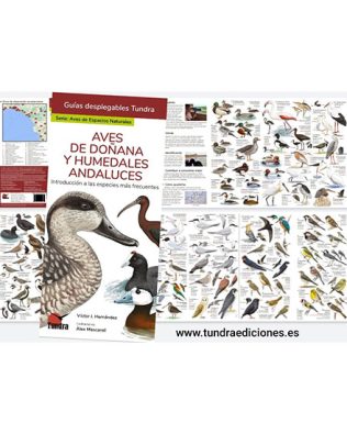 Guías desplegables Tundra – Aves de Espacios Naturales: Doñana y Humedales Andaluces – nº04