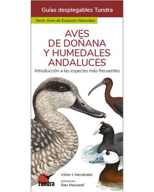 Guías desplegables Tundra – Aves de Espacios Naturales: Doñana y Humedales Andaluces – nº04