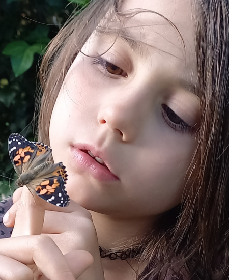criar mariposas en casa o colegio