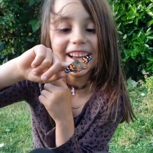 Mariposario doméstico – Buki