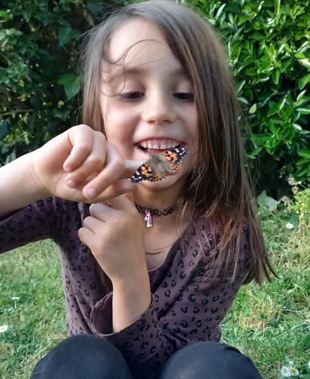 criar mariposas en casa o colegio