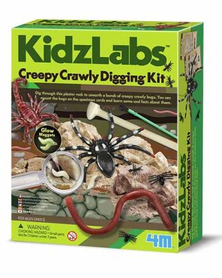 Roca de excavación de invertebrados – Kidz Labs