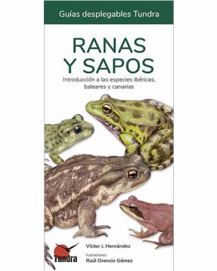 Guías desplegables Tundra nº43 – Ranas y sapos