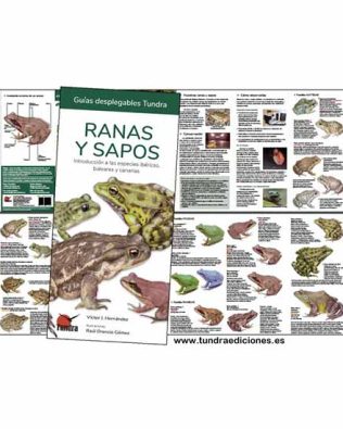 Guías desplegables Tundra nº43 – Ranas y sapos