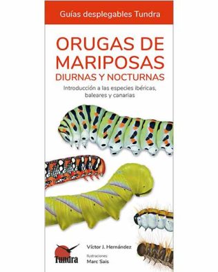 Guías desplegables Tundra nº52 – Orugas de mariposas diurnas y nocturnas