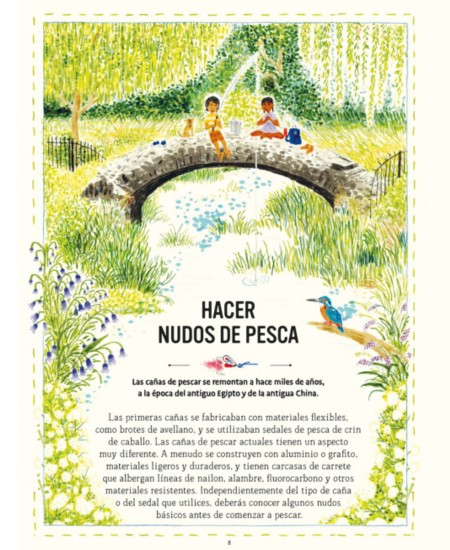libro habilidades olvidadas flamboyant