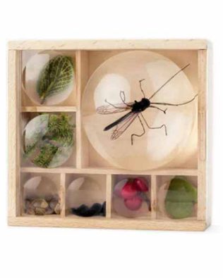 Caja de observación con lupa para insectos y pequeños tesoros – Huckleberry