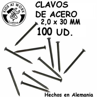 Clavos de acero (2 x 30 mm) (100 ud) – Kids at Work
