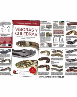 Guías desplegables Tundra nº20 – Víboras y Culebras