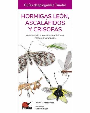 Guías desplegables Tundra nº23 – Hormigas león, Ascaláfidos y Crisopas
