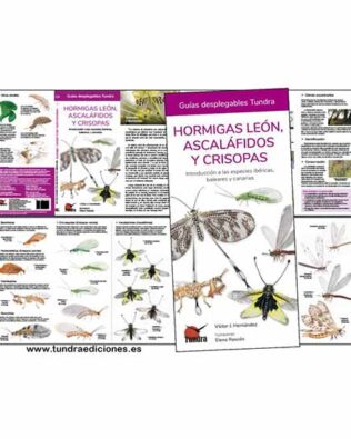 Guías desplegables Tundra nº23 – Hormigas león, Ascaláfidos y Crisopas