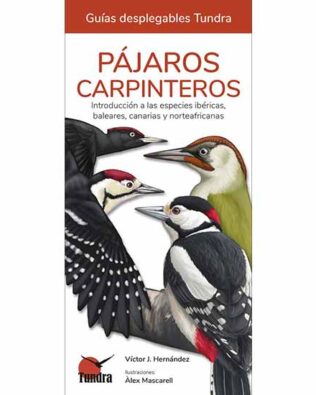 Guías desplegables Tundra nº28 – Pájaros Carpinteros