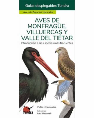 Guías desplegables Tundra – Aves de Espacios Naturales: Aves de Monfragüe, Villuercas y Valle del Tiétar – nº05