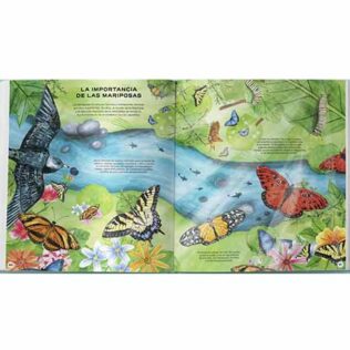 Mariposas, vida secreta – Roger Vila