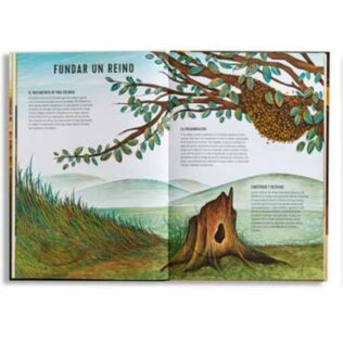 Reinos minúsculos – Anne Jankeliowitch