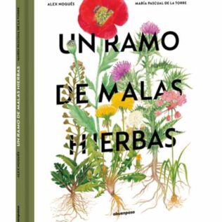 Un ramo de malas hierbas – Alex Nogués