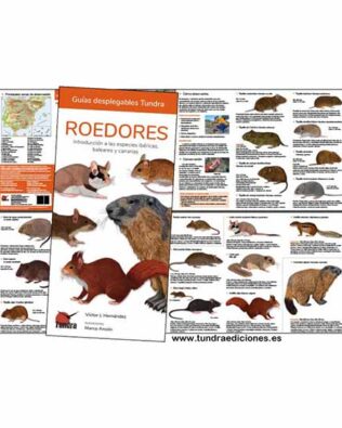 Guías desplegables Tundra nº24 – Roedores