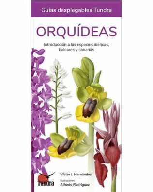 Guías desplegables Tundra nº58 – Orquídeas