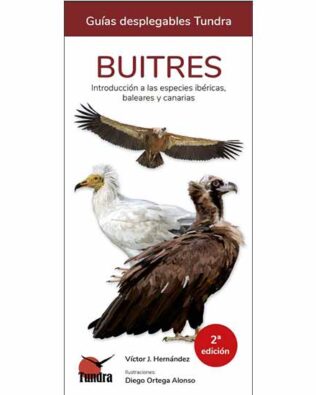 Guías desplegables Tundra nº08 – Buitres