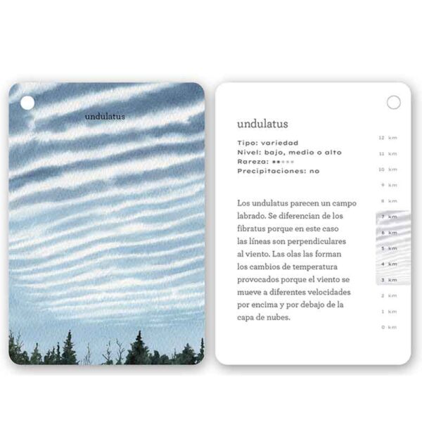 cartas para aprender a identificar nubes - fíjate nubes