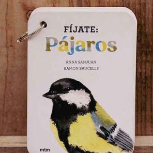 Fíjate: pájaros (cartas para aprender a reconocer aves comunes)