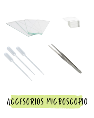 Accesorios para microscopio