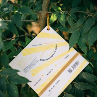 Wild Book | Verano Summer