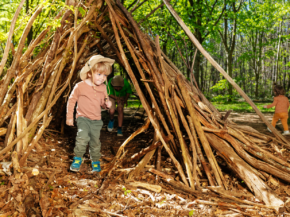 Descubre la Educación en la Naturaleza: Cómo Aplicar el Enfoque de las Escuelas Bosque