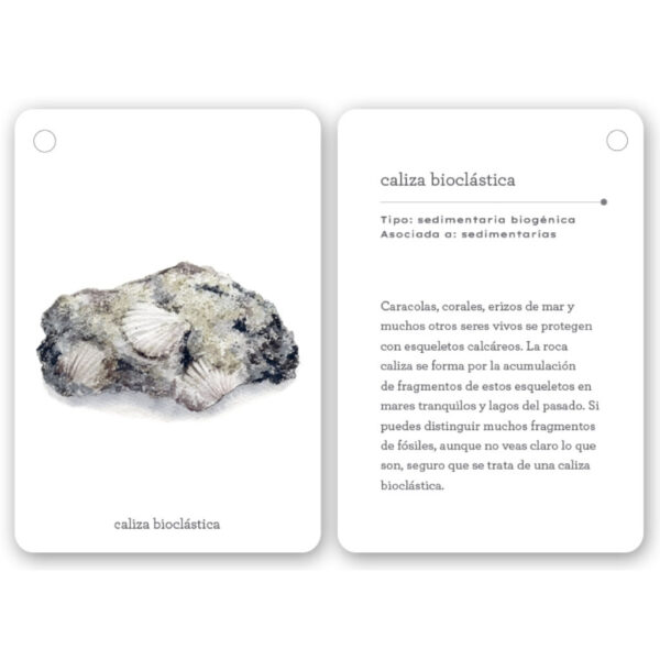 tarjetas para identificar rocas fijate rocas mtm