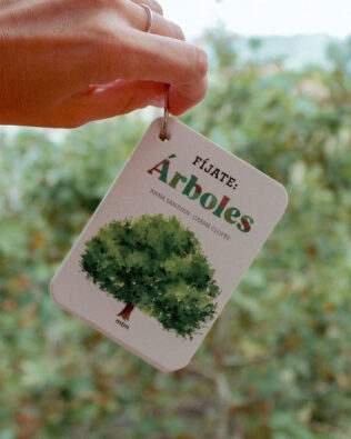 Fíjate: árboles (cartas para iniciarse en la observación de los árboles)