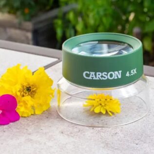 Vaso lupa de Observación Infantil BugLoupe 4.5x – Carson