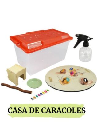 Casa de Caracoles – Buki
