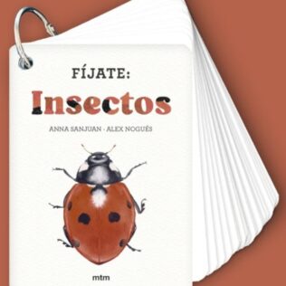 Fíjate: insectos – La guía de bolsillo más sorprendente para observar insectos en familia